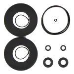 GEOWELL Scroll Pump Tip seal kit GWTSK75