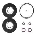 GEOWELL Scroll Pump Tip seal kit GWTSK150