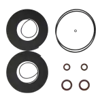 GWTSK Tip Seal Kit
